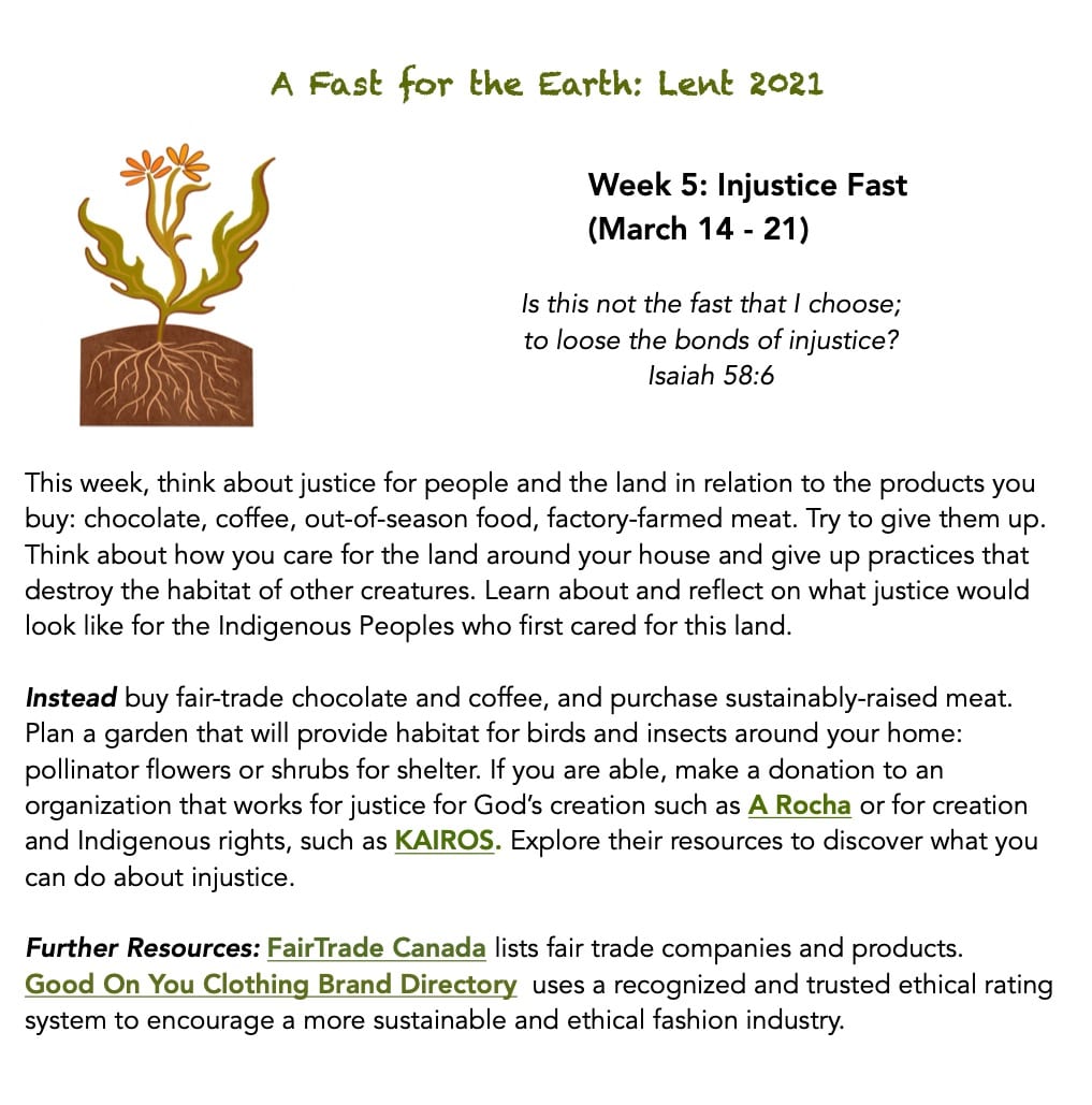 Week 5- Lent Fast for the Earth